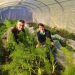 LA FERME DES SIGOIRES fruit légumes oeufs bio