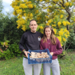 producteur de champignons bio à Garéoult