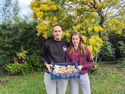 producteur de champignons bio à Garéoult
